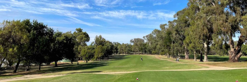 Women's NSW Open Golf Wagga Wagga